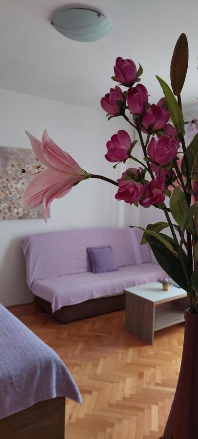 Apartments Barcarola 帕格 外观 照片